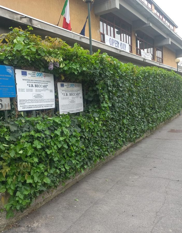 Scuola, sfalci e potature al Curie-Levi e al Beccari