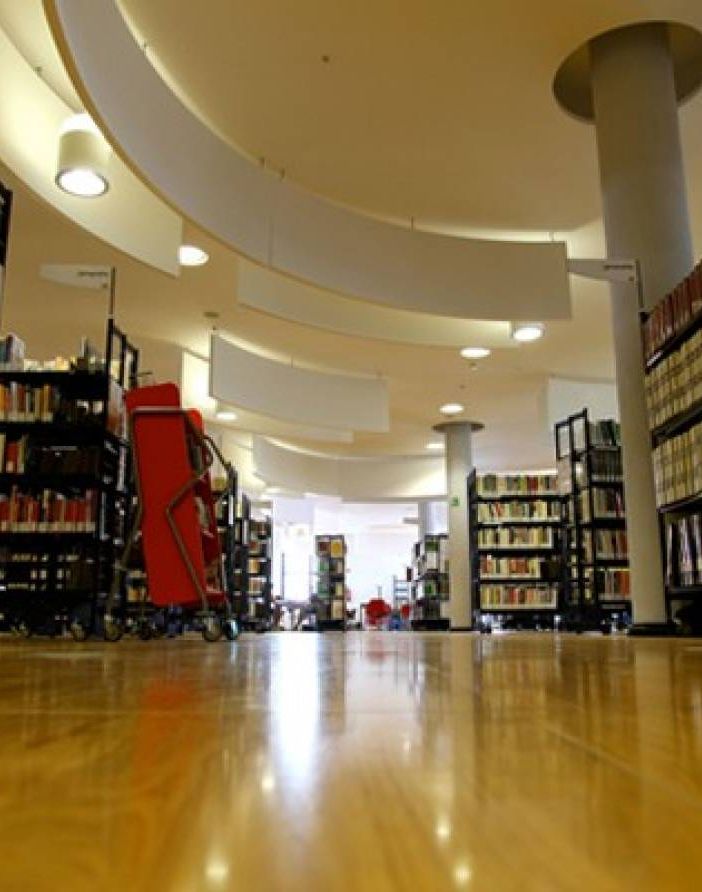 biblioteca archimede settimo