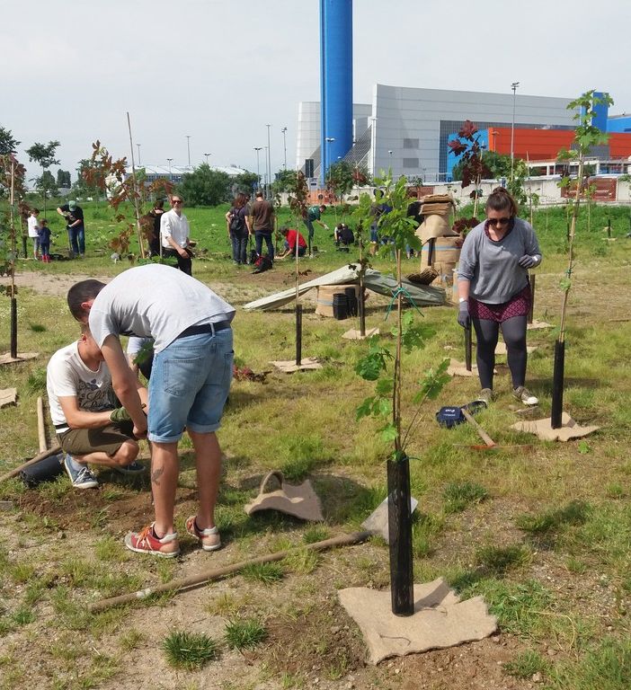 Cresce a Torino il boschetto sotto l'inceneritore: piantate oggi altre centinaia di alberi (FOTO)