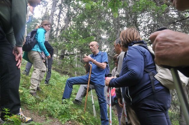 A Bardonecchia in mostra funghi, bacche e frutti selvatici