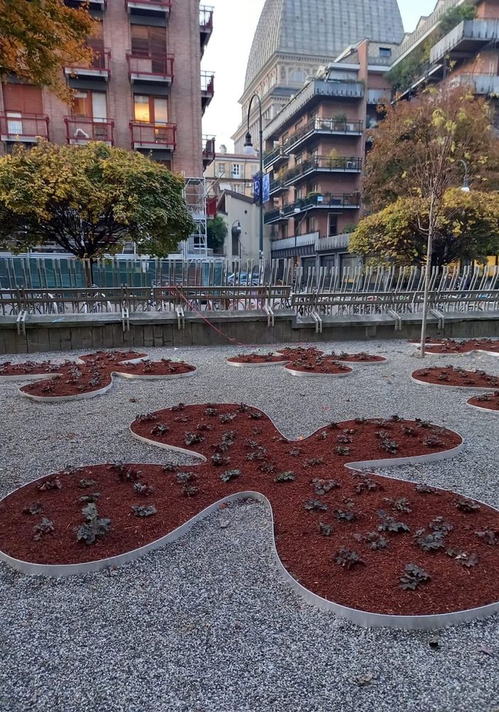 il bosco davanti a Palazzo Nuovo