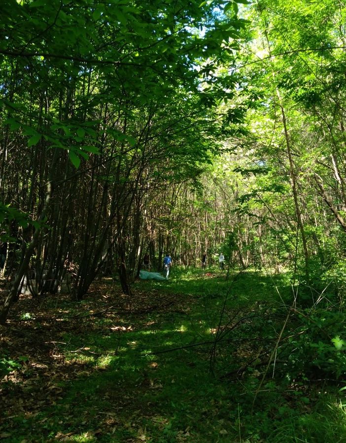 San Giorio, nel bosco spunta un cadavere: disposta l'autopsia per scoprirne l'identità