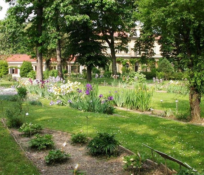 Gli appuntamenti del mese di settembre all'Orto Botanico di Torino