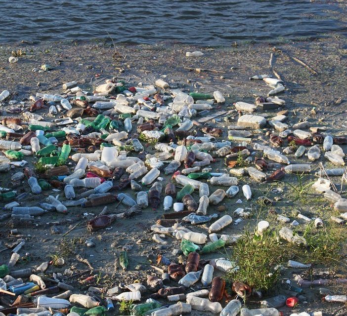 A Torino la mostra &quot;Innesti Artici. La lunga corsa delle plastiche verso il Polo Nord&quot;
