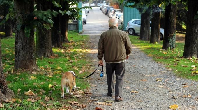 Via Po prima via Pet friendly in Italia: il 24 settembre arriva &quot;Bau Bau Street&quot;