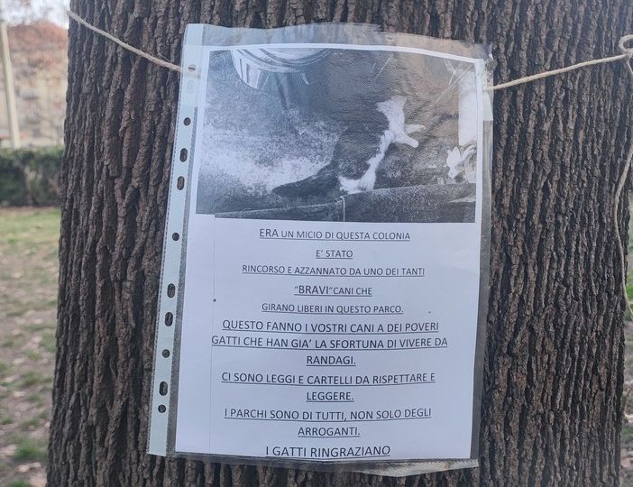 Gatto trovato morto al Michelotti, spuntano cartelli contro i proprietari di cani