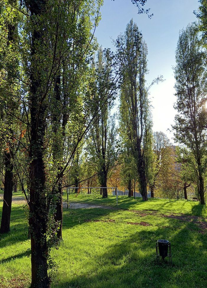 Ruota Panoramica: quando sarà installata, quanto rimane e i dubbi sollevati