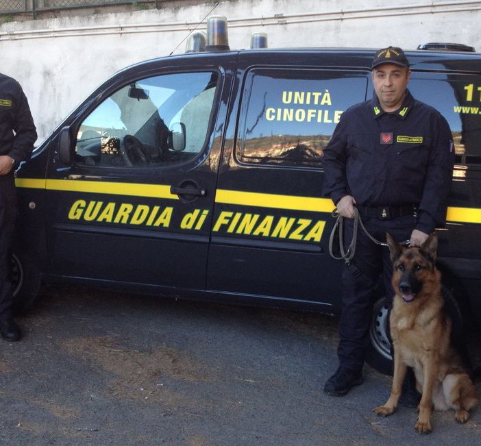 Evade gli arresti domiciliari: arrestato dalla Guardia di Finanza a Lingotto