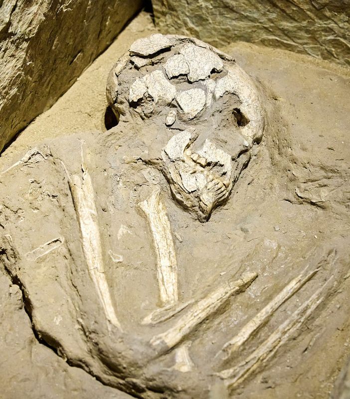 Il Museo di Antichità festeggia i 300 anni con numerose iniziative