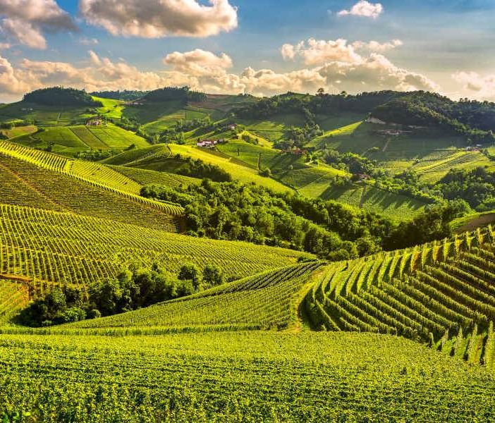 Coldiretti Piemonte: &quot;Caldo e vacanze di prossimità per 1 italiano su 3&quot;