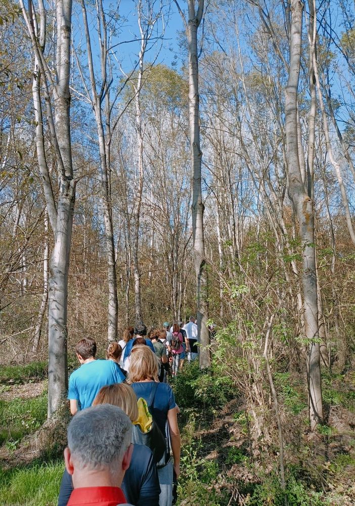A Carmagnola, passeggiata e concerto silenzioso nel Bosco del Gerbasco