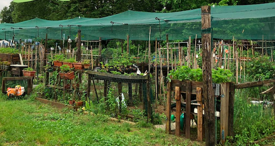 FARClimate: all'Orto Boschetto arriva il progetto agricolo contro la crisi climatica
