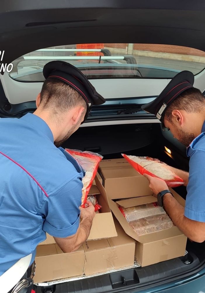 Venaria Reale, dipendenti di un pastificio sottraevano confezioni di Grana Padano per rivenderlo: denunciati Venaria Reale, dipendenti di un pastificio sottraevano confezioni di Grana Padano per rivenderlo: denunciati