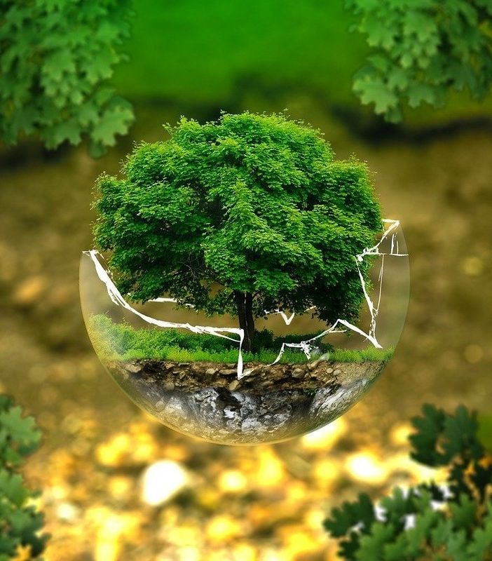 Pubblicato il bando regionale per le &quot;green economies&quot;