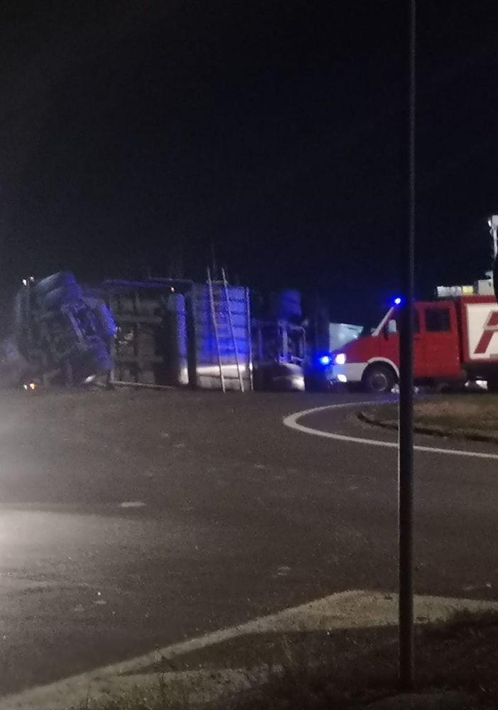 Camion carico di maiali si ribalta alla rotonda tra Carignano e Carmagnola: muoiono 28 animali su 60