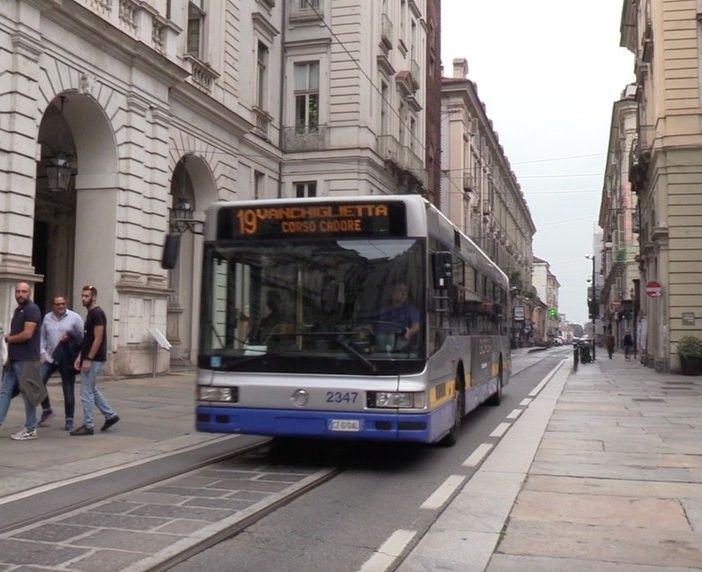 Carenze autisti, Canalis (PD): &quot;La Regione usi la leva del prestito d'onore&quot;