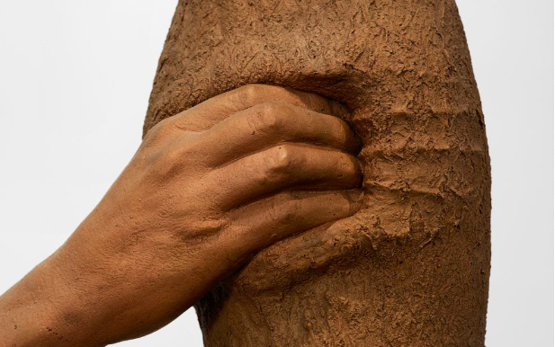 Da Giuseppe Penone a Precious Okoyomon: al Castello di Rivoli apre Mutuale Aid, l'arte in collaborazione con la natura