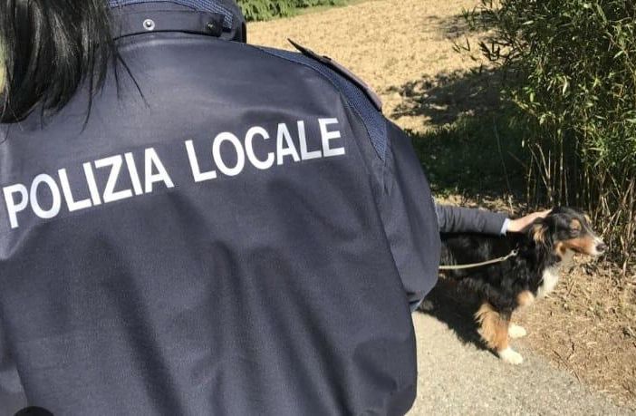 foto di archivio