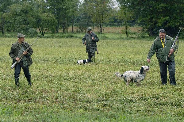 Animalisti e ambientalisti contro la Regione: &quot;Fatto un regalo ai cacciatori&quot;