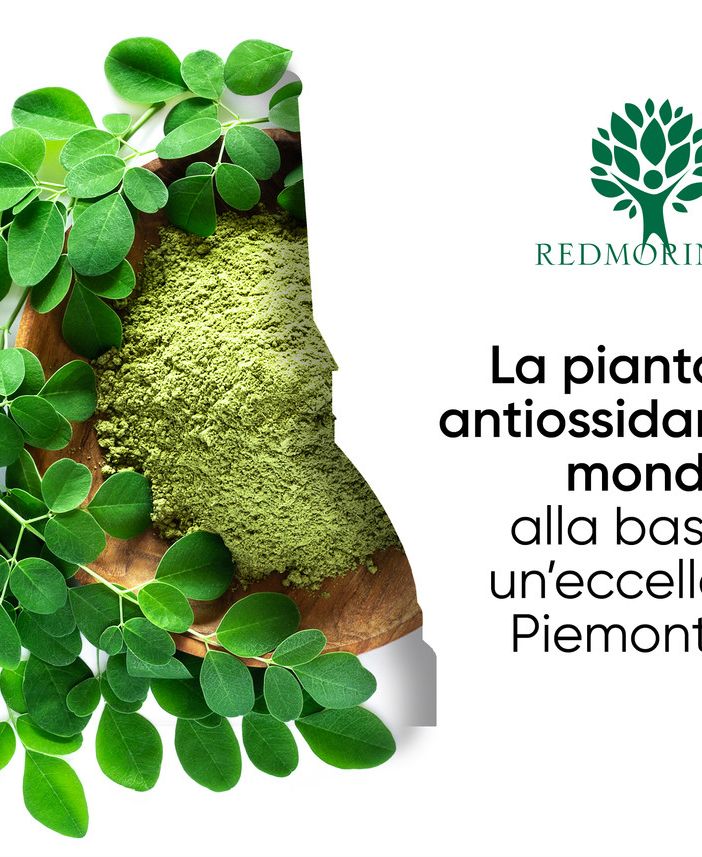 L'azienda torinese che riporta la Moringa al suo antico splendore