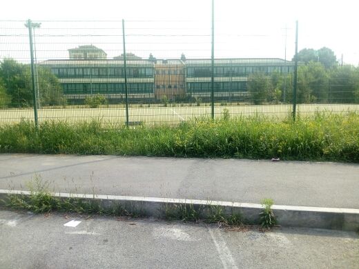 Il degrado del campetto (foto di Paolo Biccari)