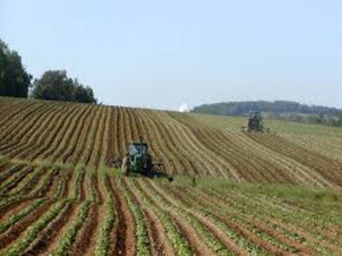 Politecnico e AGEA insieme  per valorizzare la filiera agricola del territorio
