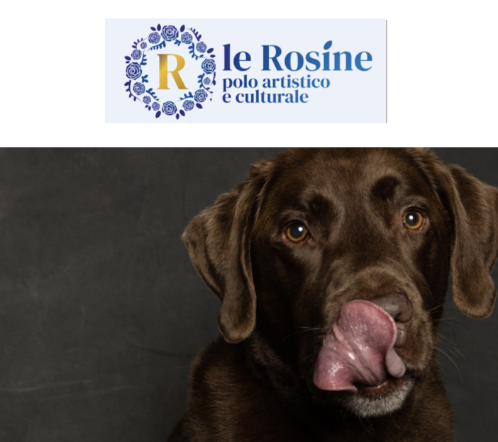 A Torino un corso per comprendere il cane e imparare il suo linguaggio