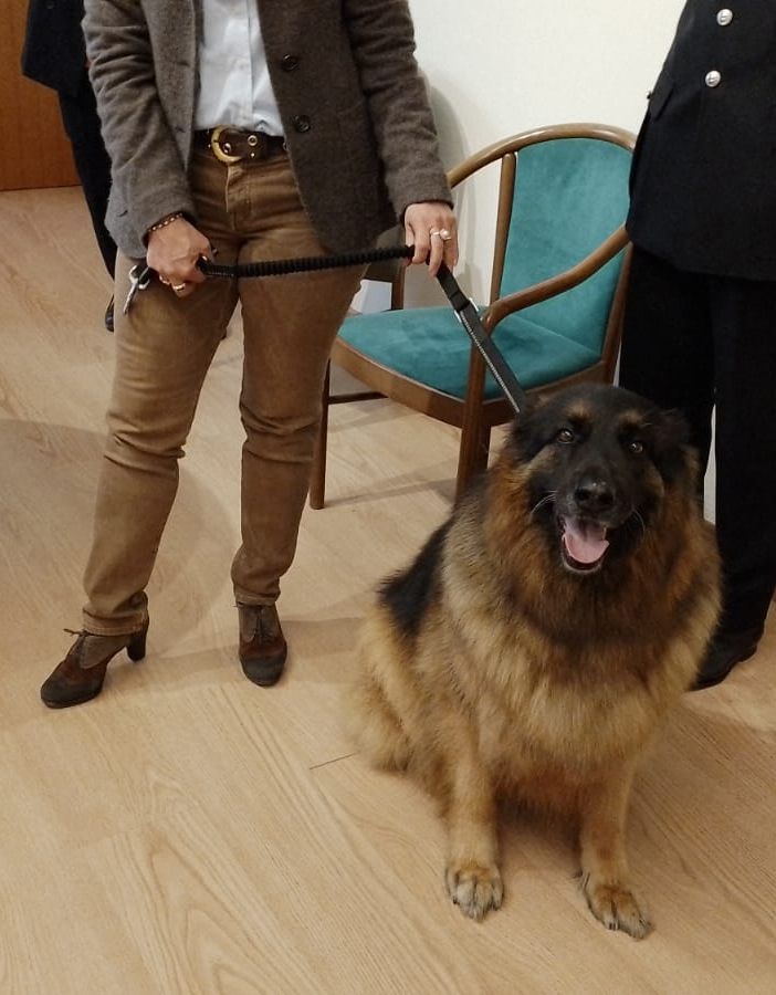 cane pastore tedesco con due persone