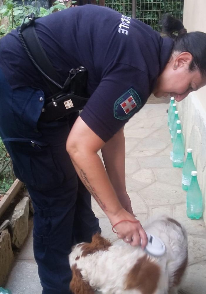 Nichelino, denunciato dalla Polizia locale per aver messo al cane un collare elettrico antiabbaio