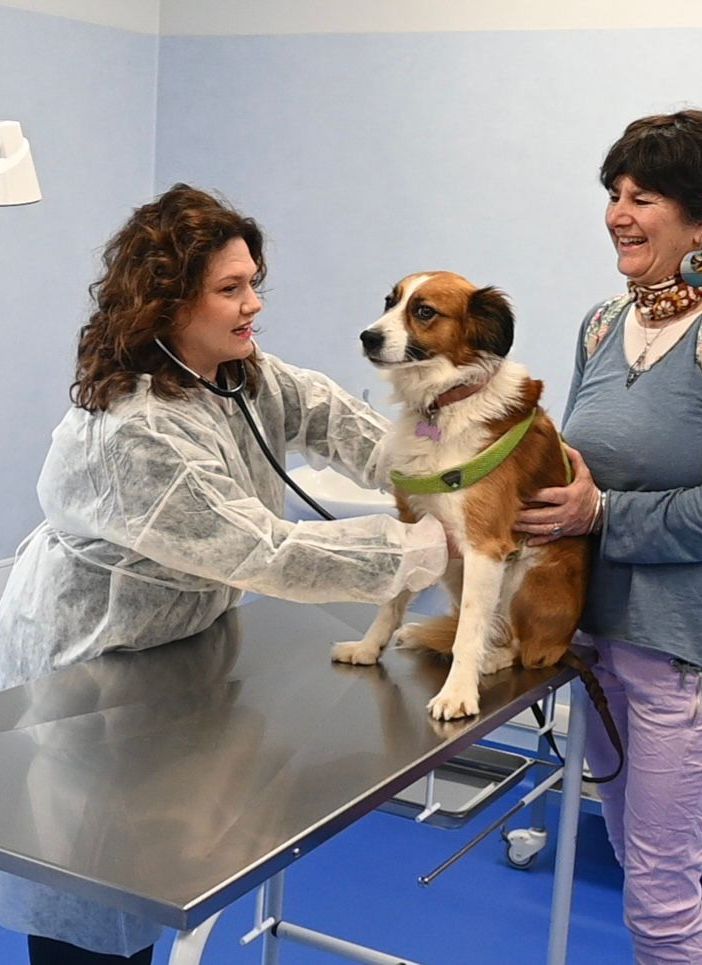 A Falchera cure gratis per cani e gatti delle persone in difficoltà economica