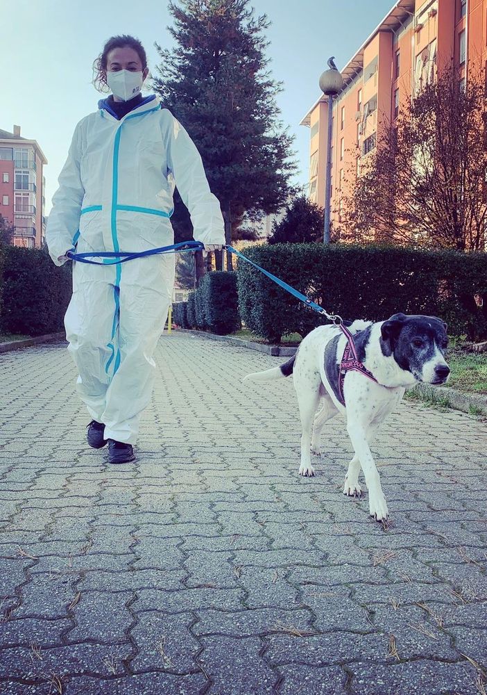sos passeggiata cani