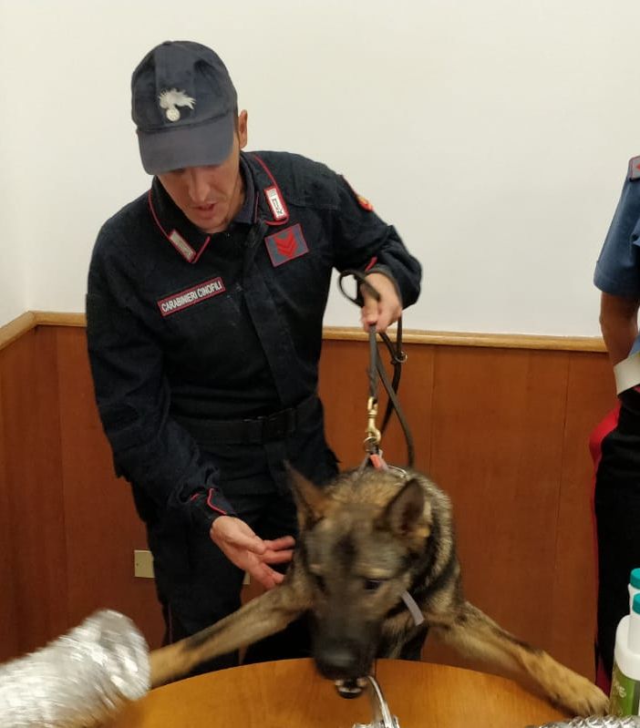 Operazione anti-spaccio a Torino e in Val di Susa: tra i clienti anche un papà che acquistava la droga portando con sè il figlio