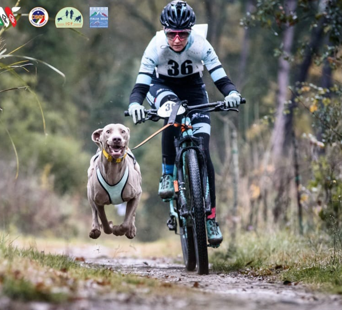 uomo in bici seguito da un cane