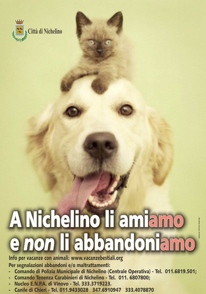 Nichelino, il bilancio 2017 del servizio tutela cani