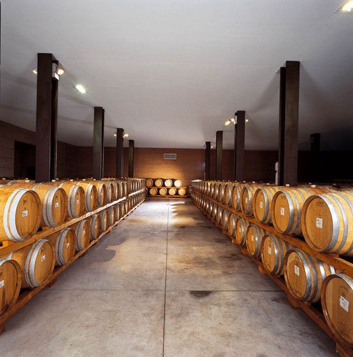 Coldiretti–dazi Trump: &quot;Scade l’ultimatum, vino Made in Piemonte non deve farne le spese”