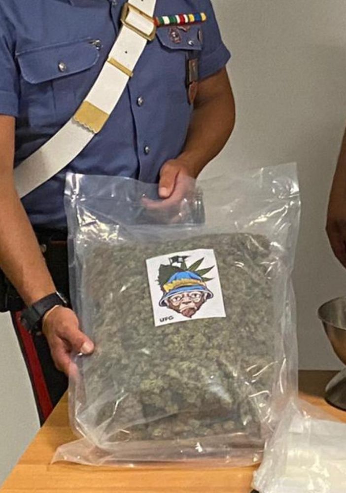 Collegno, sfugge all'alt con un chilo di marijuana in auto, ma si scontra contro un'altra vettura