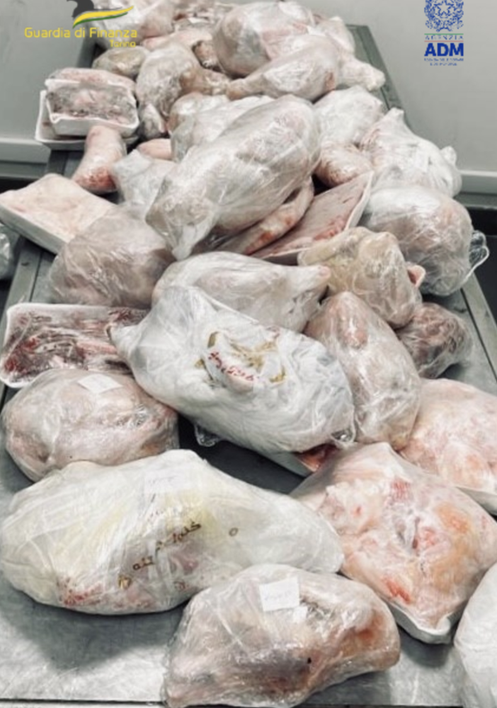 Sorpresa in aeroporto: nella valigia del passeggero proveniente dall’Egitto spuntano 64 kg di carne