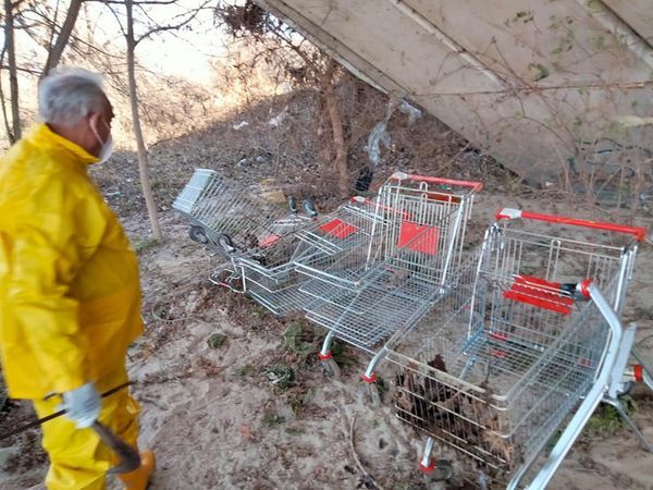 carrelli abbandonati sangone