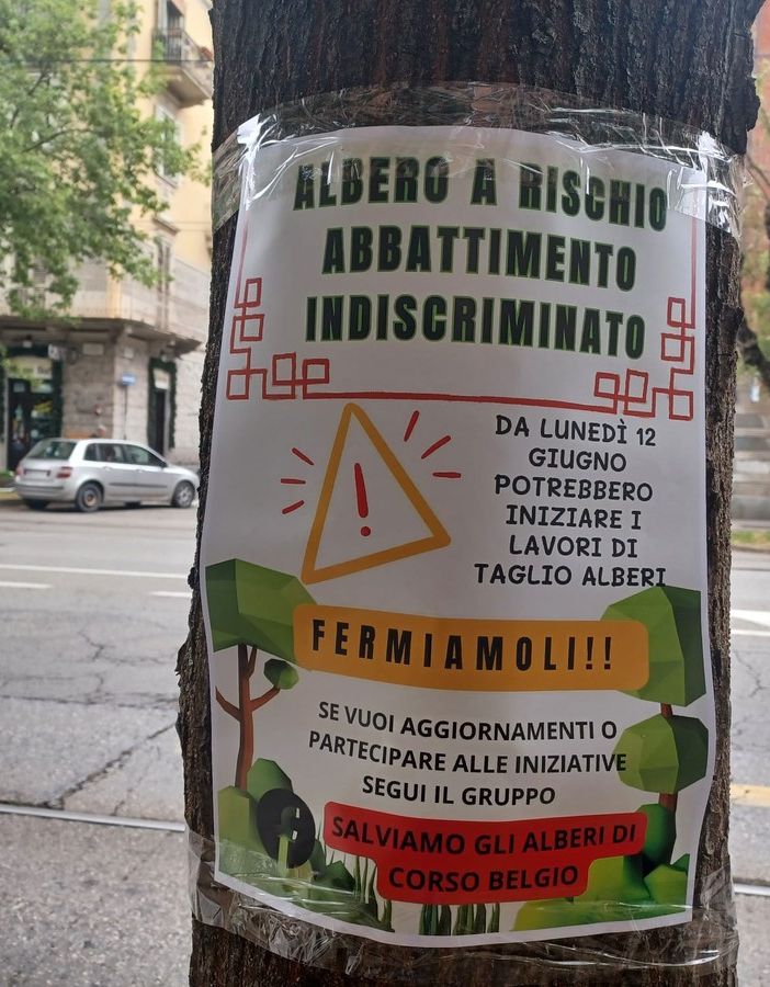 cartello su albero di corso belgio
