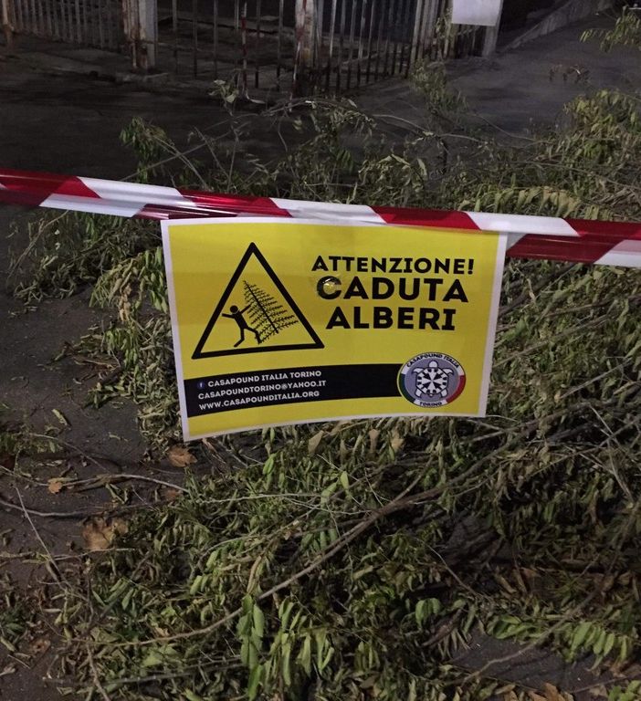 Blitz di CasaPound in corso Dante, pericolo caduta alberi