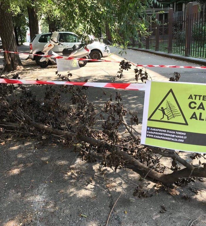 CasaPound torna in corso Dante contro la caduta degli alberi