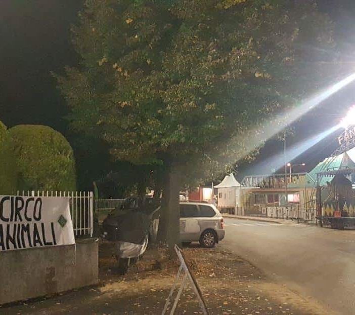Ciriè, striscione a firma La Foresta che Avanza contro &quot;il circo con gli animali&quot;