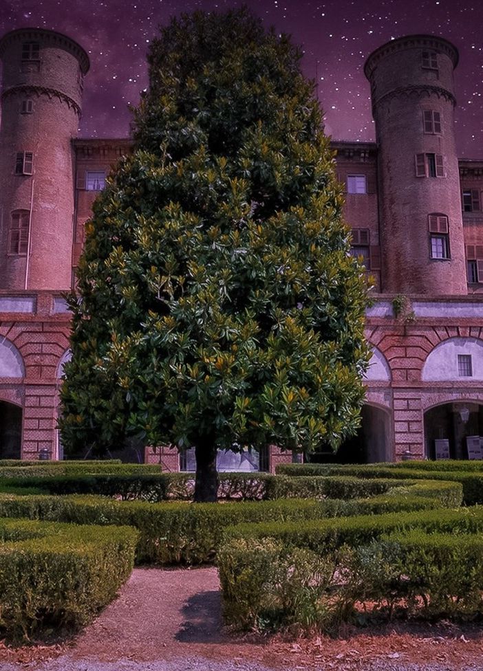 castello di moncalieri by night