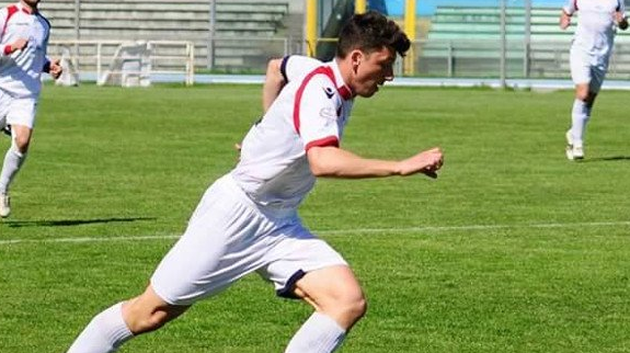 Davide Cavallaro