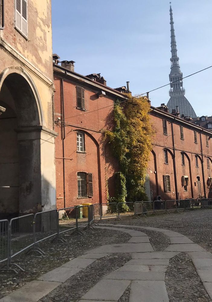 cavallerizza reale