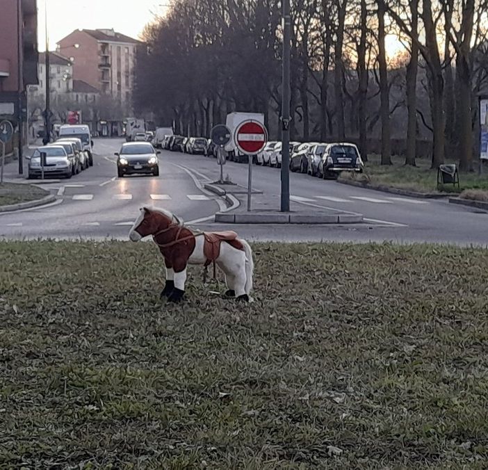Vanchiglietta: cavallino giocattolo “galoppa” in mezzo alla rotonda, ironia sui social