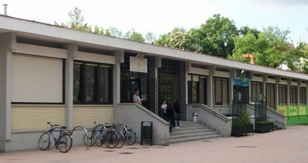 cinema sotto le stelle al grosa