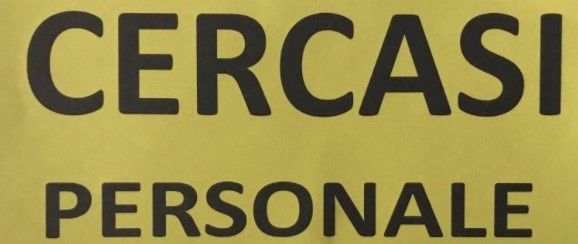 Sun68 cerca personale per il negozio nel centro di Torino