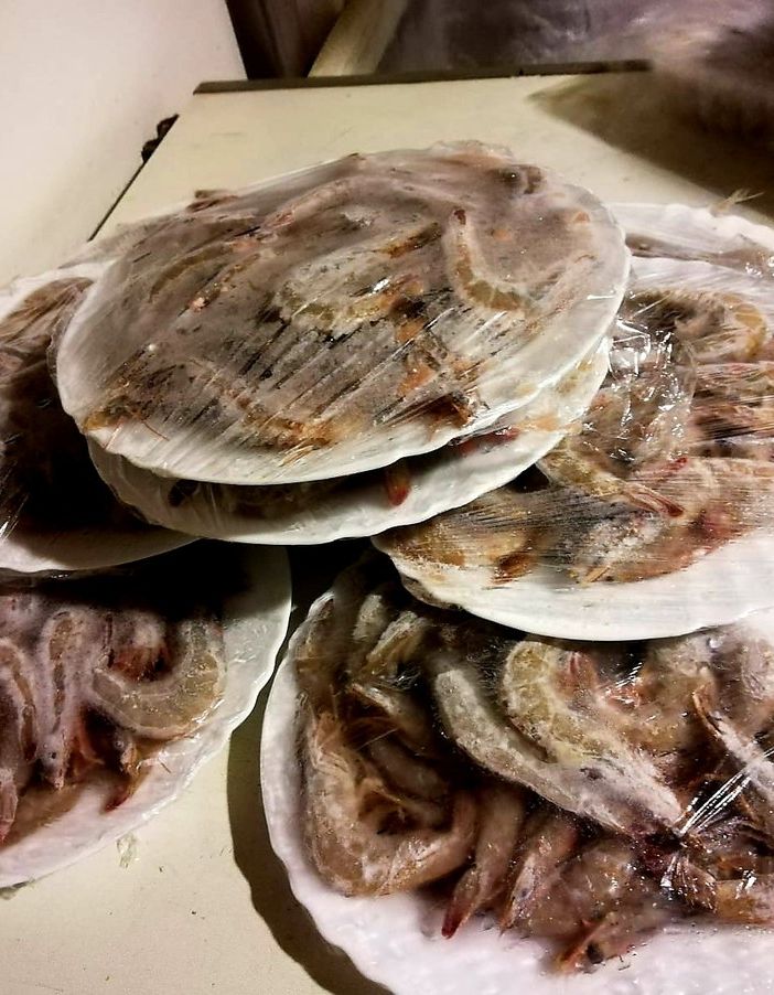 Involtini primavera e altro cibo malconservato e contaminato da insetti, a Torino la Polizia sequestra 400 chili di alimenti
