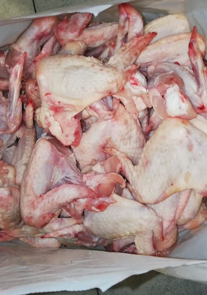 Illeciti amministrativi e carenze igienico-sanitarie: locali multati a San Salvario
